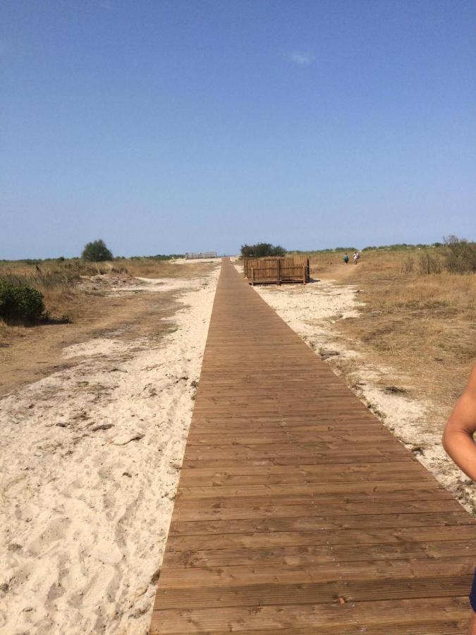 Strandmuschel هوروميرسيال المظهر الخارجي الصورة